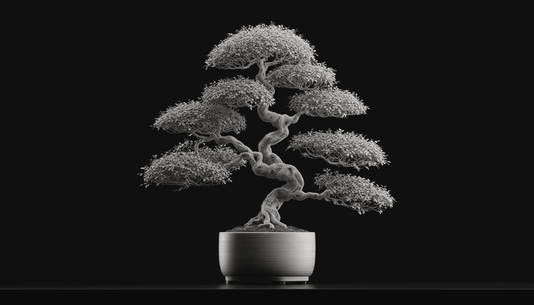 Bonsai 18